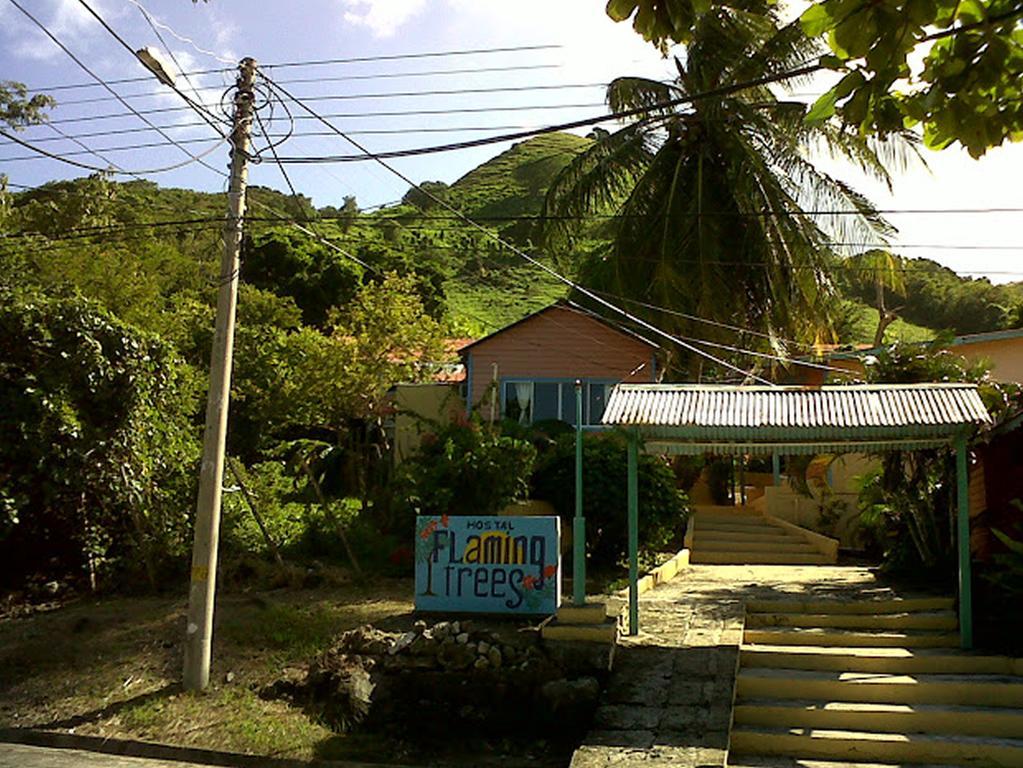 Hotel Flemming Tree Providencia Island 外观 照片