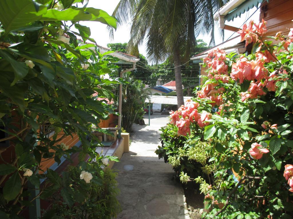 Hotel Flemming Tree Providencia Island 外观 照片