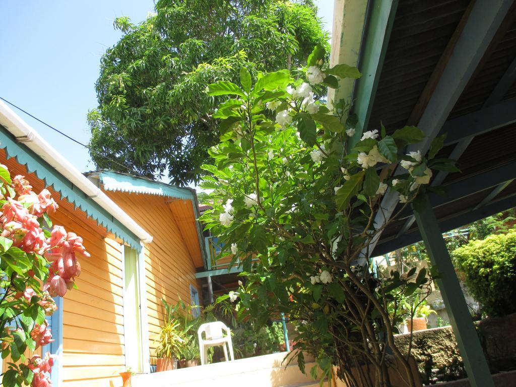 Hotel Flemming Tree Providencia Island 外观 照片