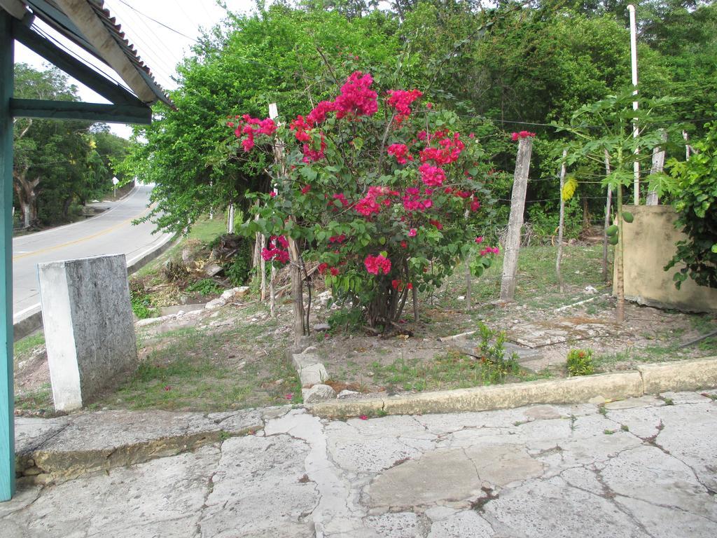 Hotel Flemming Tree Providencia Island 外观 照片