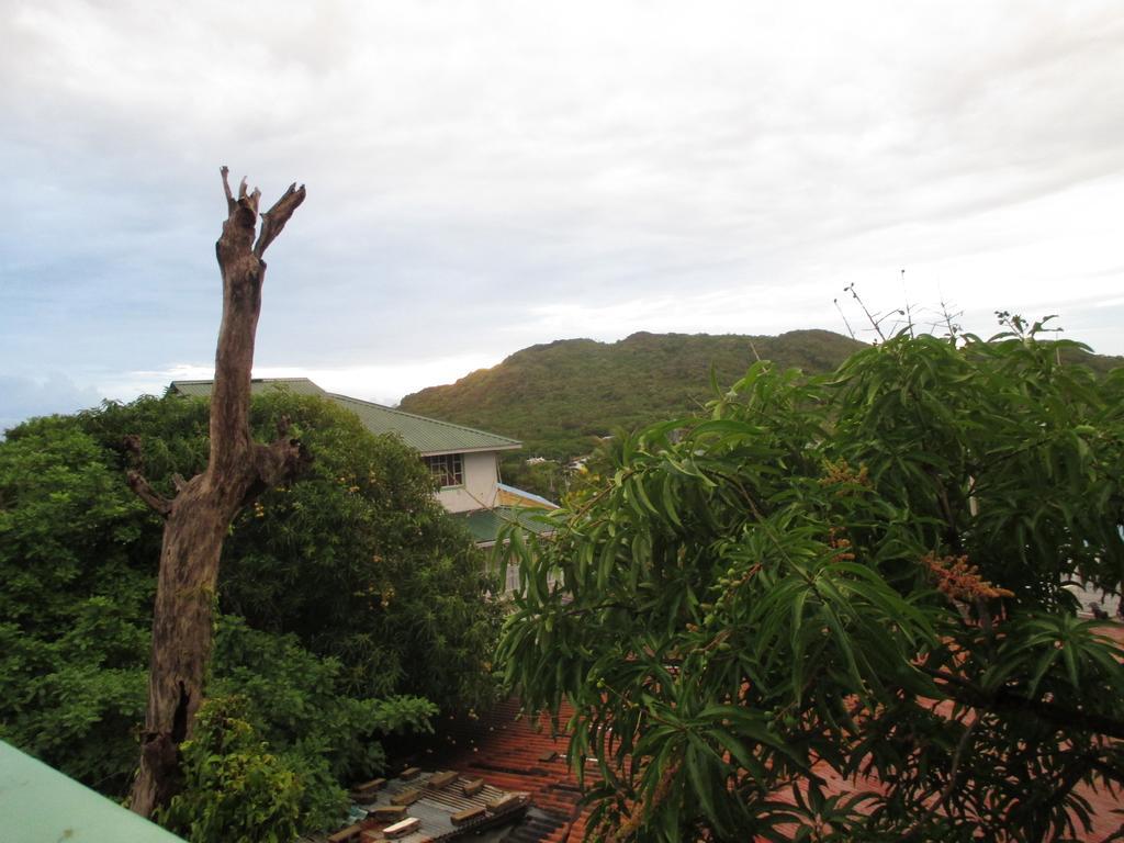Hotel Flemming Tree Providencia Island 外观 照片