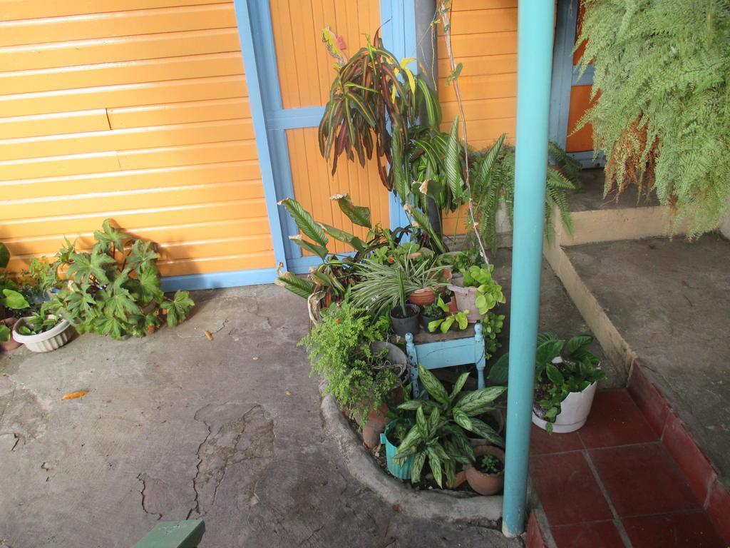 Hotel Flemming Tree Providencia Island 外观 照片