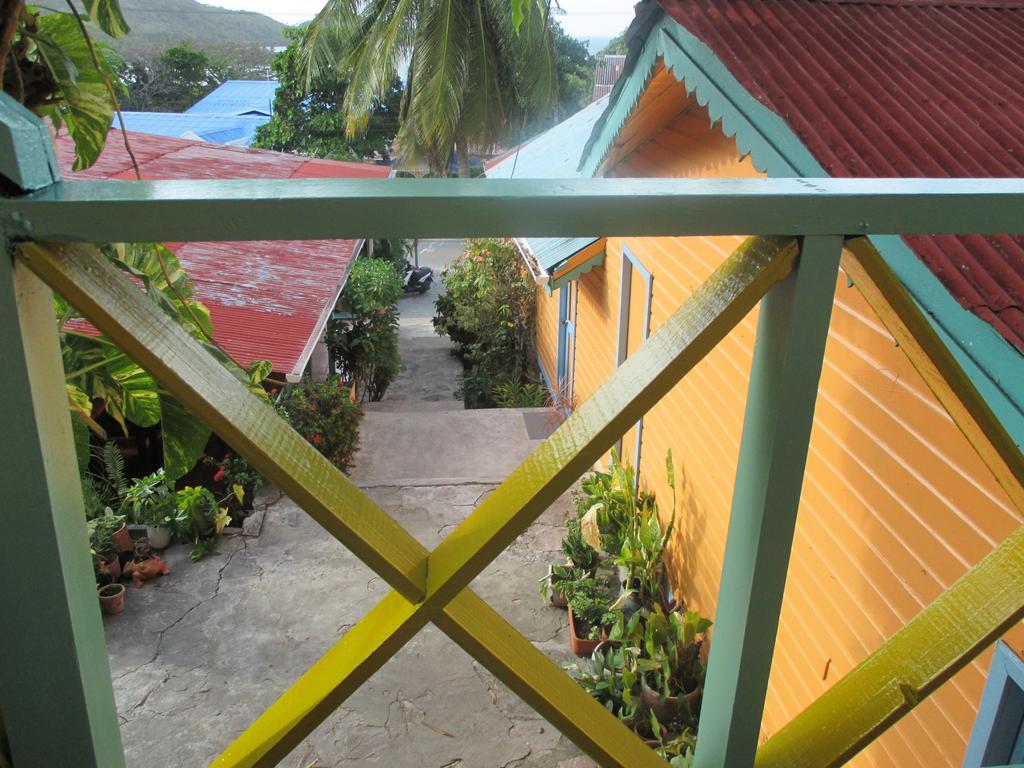 Hotel Flemming Tree Providencia Island 外观 照片