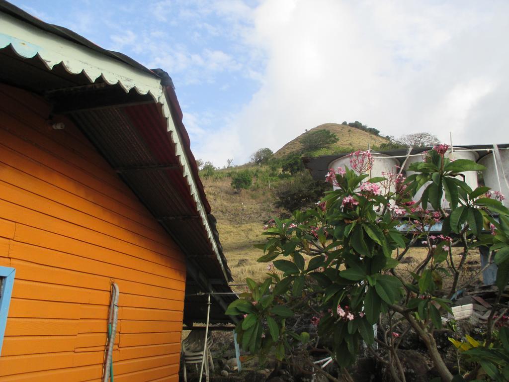 Hotel Flemming Tree Providencia Island 外观 照片