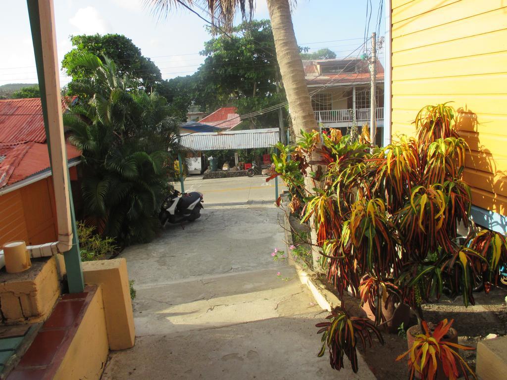 Hotel Flemming Tree Providencia Island 外观 照片