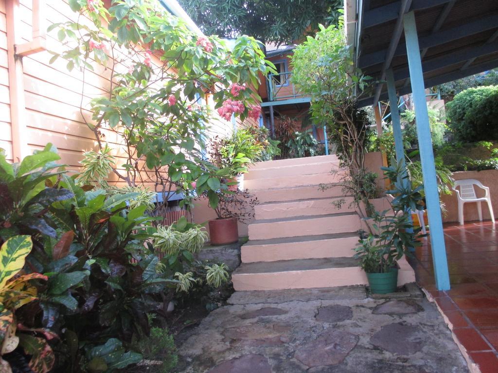 Hotel Flemming Tree Providencia Island 外观 照片