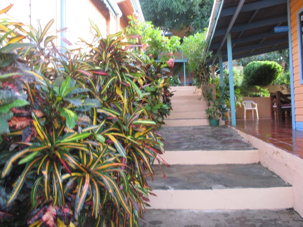 Hotel Flemming Tree Providencia Island 外观 照片