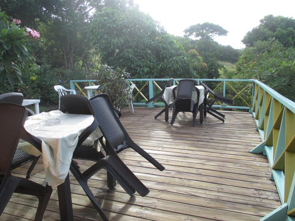 Hotel Flemming Tree Providencia Island 外观 照片