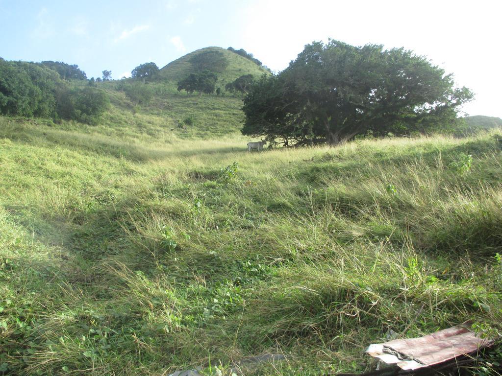 Hotel Flemming Tree Providencia Island 外观 照片