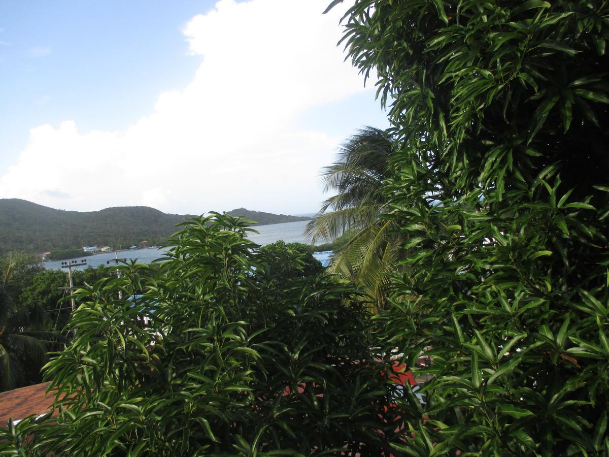 Hotel Flemming Tree Providencia Island 外观 照片